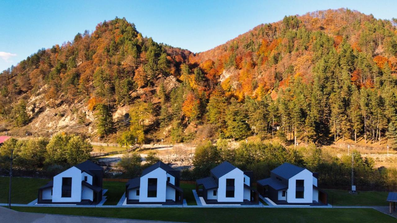 Complex Lunlo Village Brezoi Exterior foto